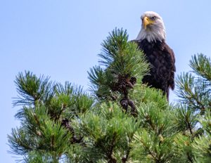 Across from south beach