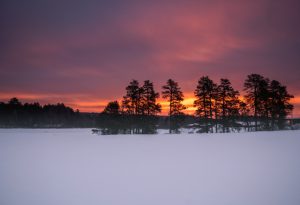 Madison lumber color