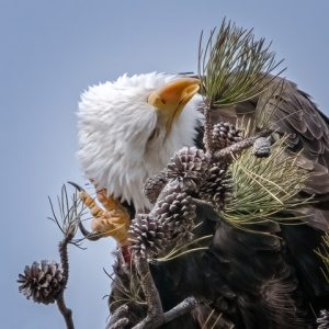 What you say down there?